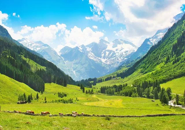 COUPLE CHOICE — 6 DAYS ENCHANTING VALLEYS OF KASHMIR