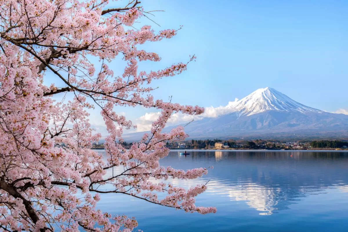 TIMELESS TRAILS: FROM CASTLES TO COASTLINES —  JAPAN HERITAGE EXPEDITION