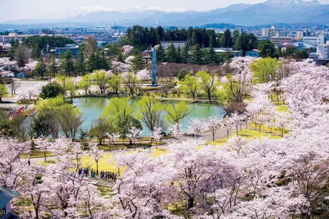 EXPLORE IN 8 DAYS SCENIC JAPAN – A JOURNEY OF BEAUTY, CULTURE, AND MEMORIES