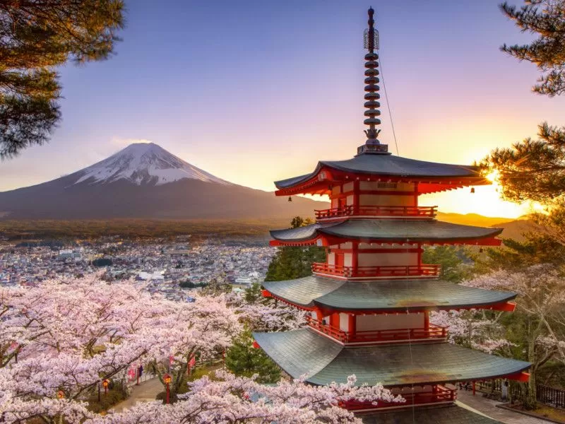 8 DAYS JAPAN DISCOVERY JOURNEY: TOKYO — HOKKAIDO — CULTURAL IMMERSION