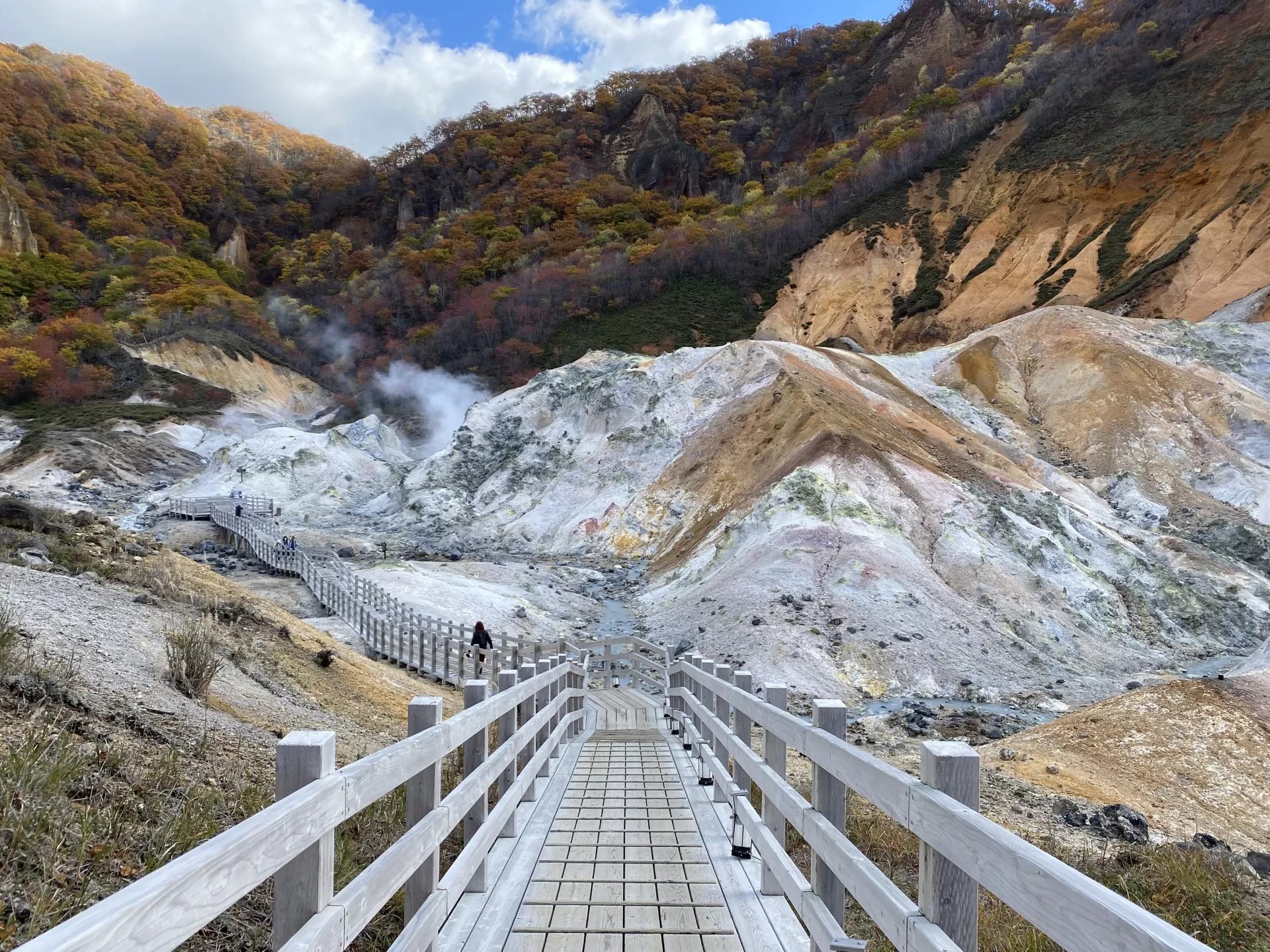 8 DAYS NORTHERN HOKKAIDO ESCAPADE: SNOW, CULTURE & SCENERY