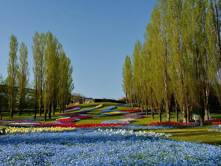 DISCOVER JAPAN IN 8 ELITE DAYS — LUXURY MEETS HERITAGE