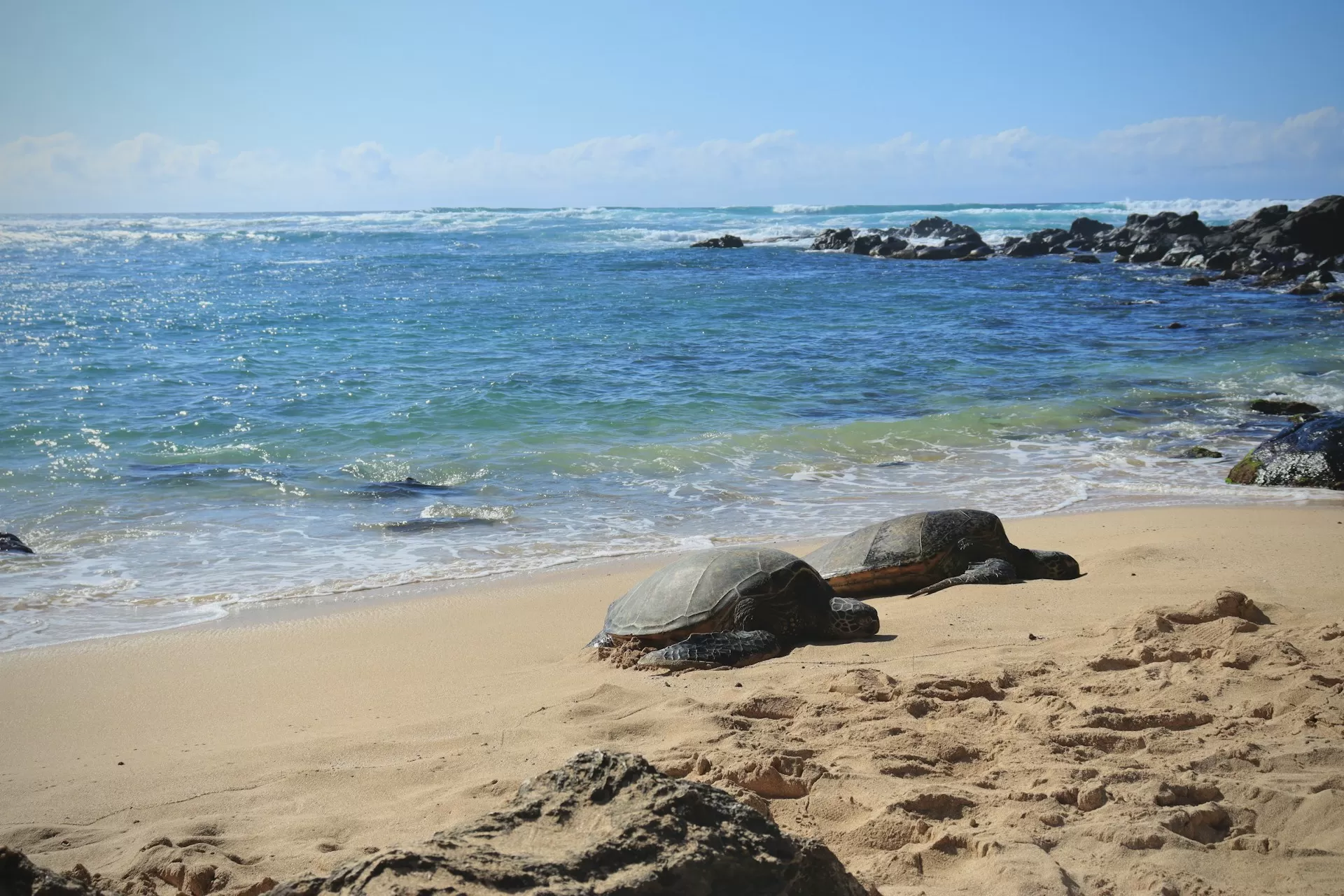 LIVE 5 DAYS IN ISLAND OF DREAMS — HAWAII LIKE NEVER BEFORE