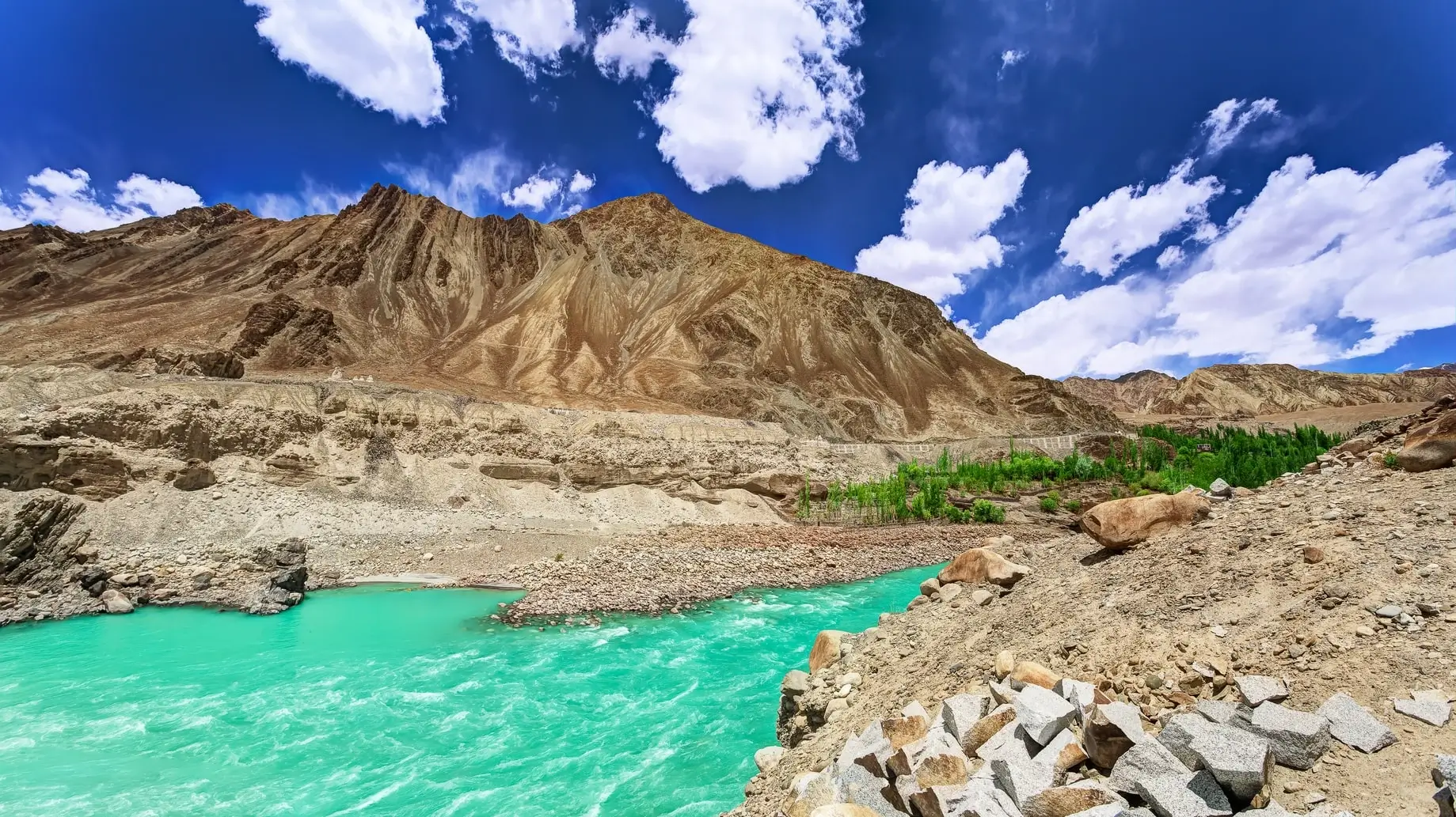 EXPERIENCE IN 7-DAY LEH—NUBRA—TURTUK—PANGONG ODYSSEY