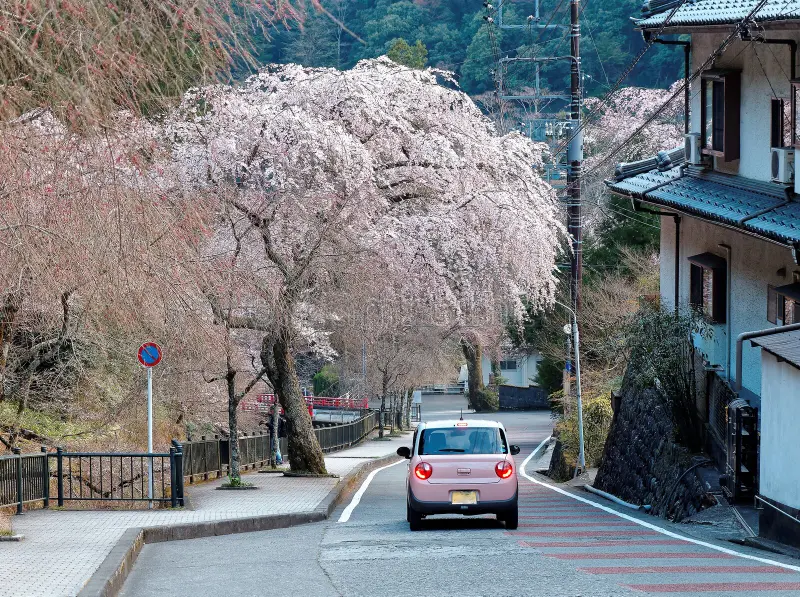 TIMELESS TRAILS: FROM CASTLES TO COASTLINES —  JAPAN HERITAGE EXPEDITION