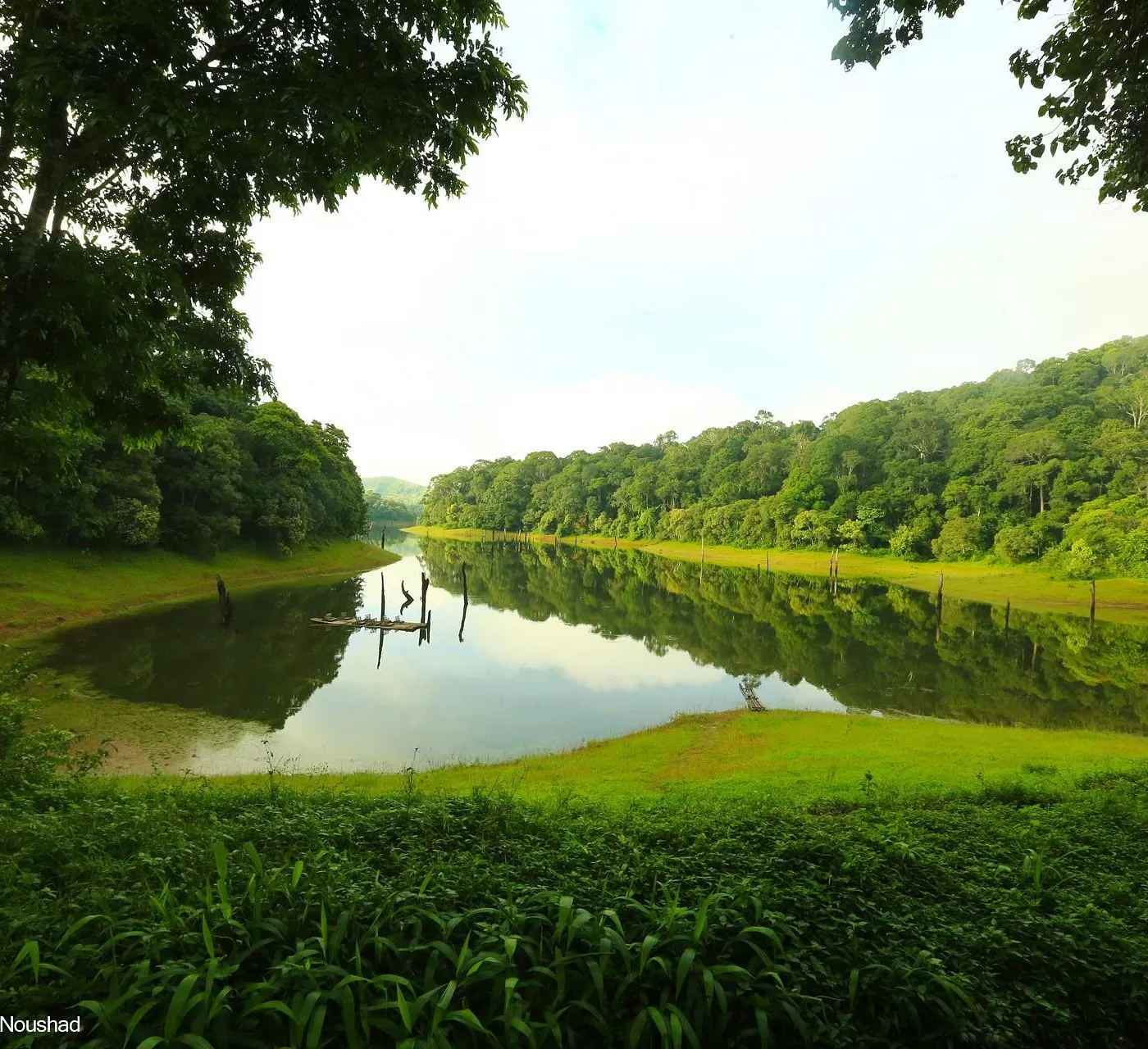 8 DAYS MAGICAL KERALA HOLIDAYS