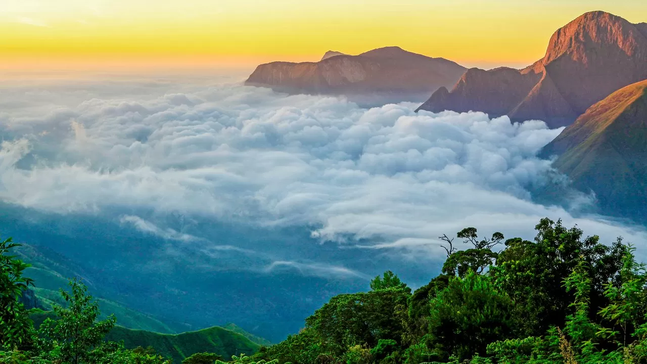 KERALA: 5 DAYS GETAWAY HILLS, WILDLIFE & BACKWATERS