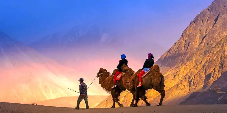 BEST OF LADAKH PACKAGE: 6 — DAY LEH, NUBRA & PANGONG ADVENTURE