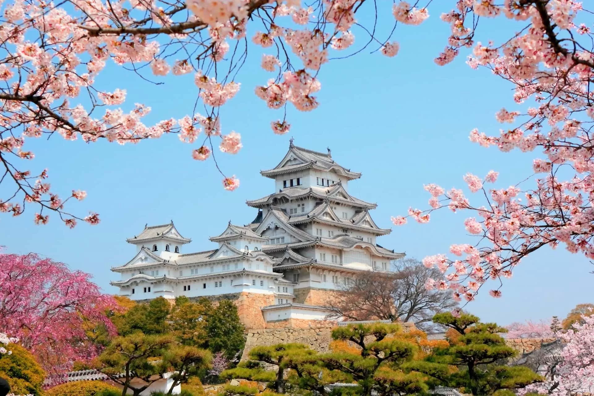 TIMELESS TRAILS: FROM CASTLES TO COASTLINES —  JAPAN HERITAGE EXPEDITION