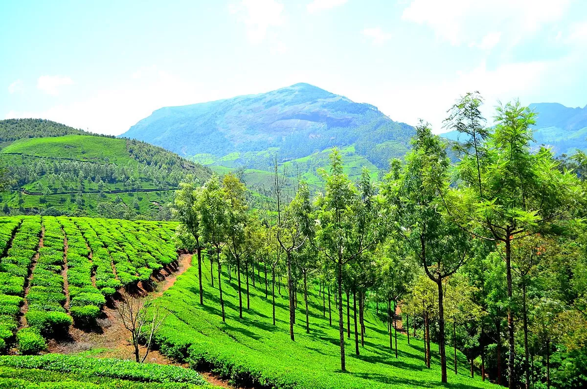 8 DAYS MAGICAL KERALA HOLIDAYS