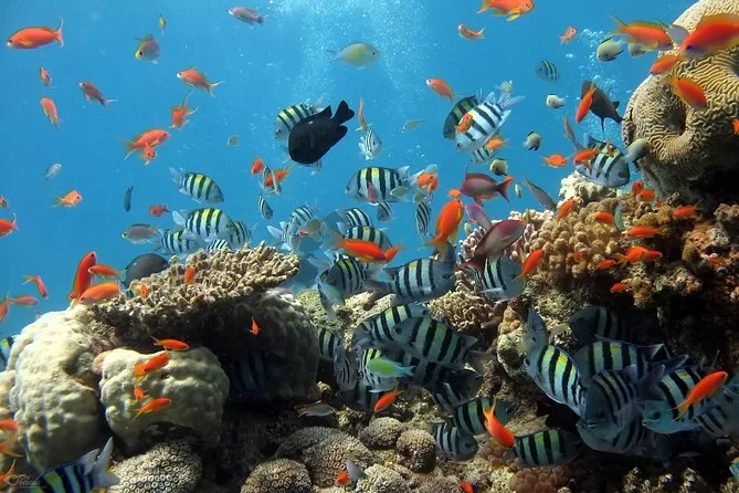 OPTIONAL TOURS IN PHU QUOC