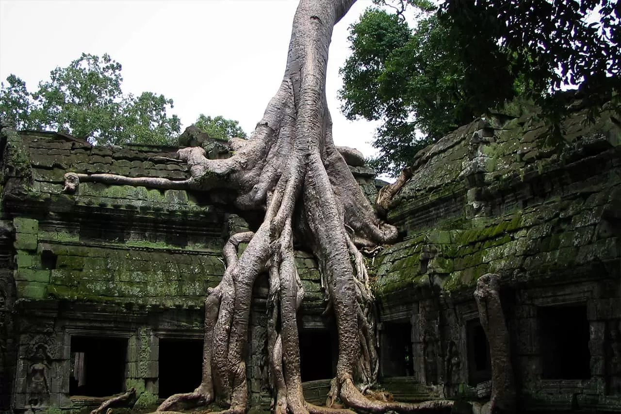 5 DAYS CAMBODIA CALLING – TEMPLES, TRADITIONS & TIMELESS TALES