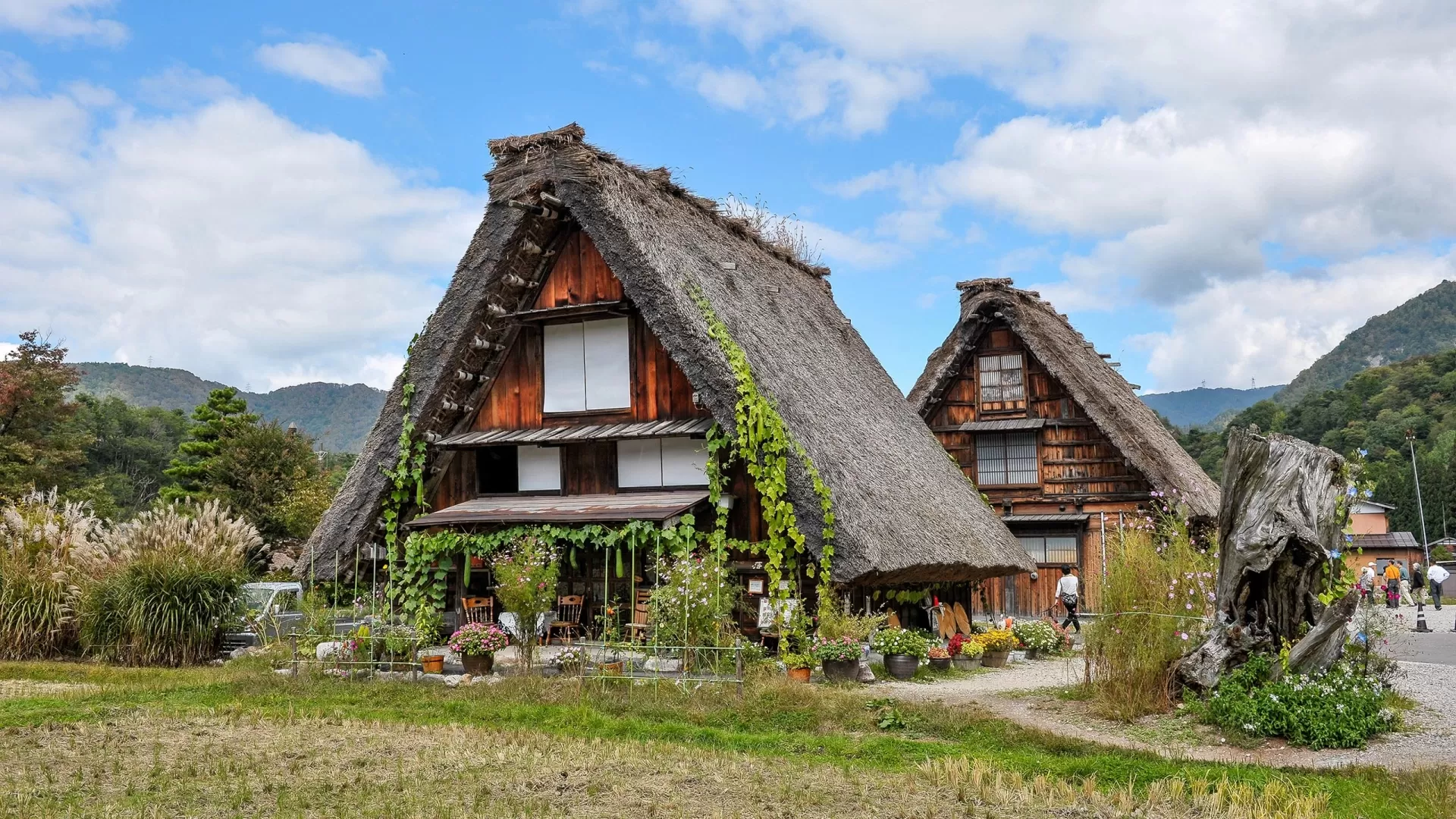 8 DAYS JAPAN CULTURAL ESCAPADE: FROM CASTLES TO CULINARY CRAFTS