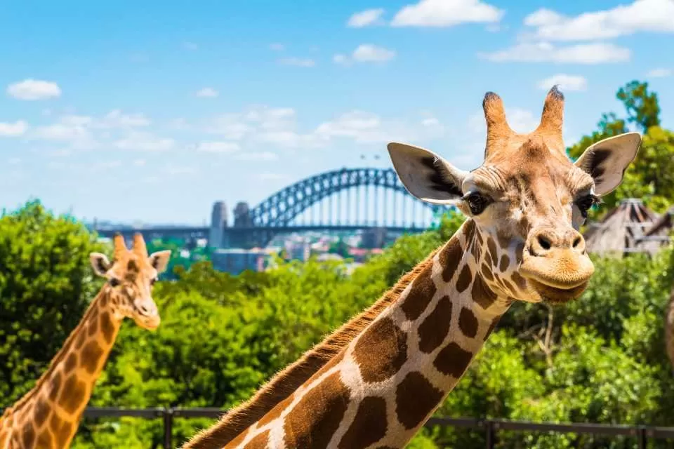5-DAY AUSTRALIA GETAWAY