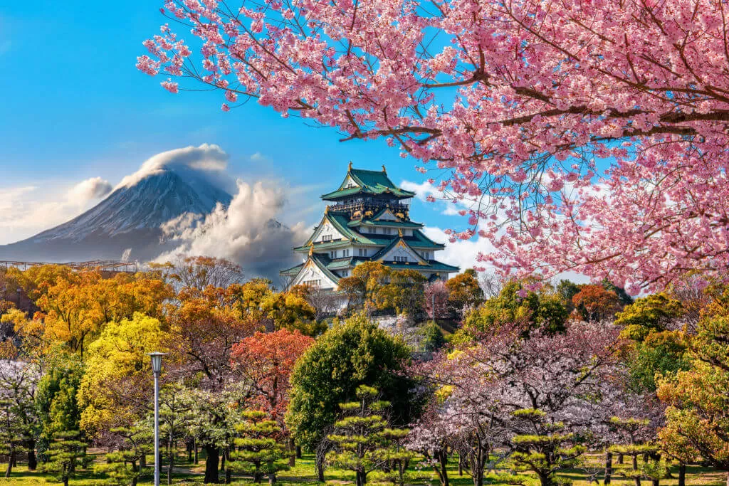 8-DAY JAPAN CULTURAL ESCAPADE: FROM CASTLES TO CULINARY CRAFTS