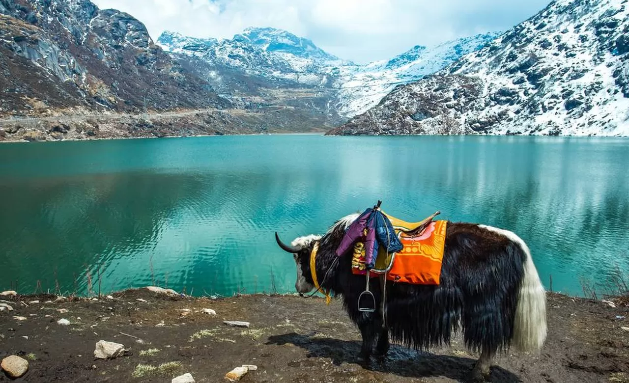 MESMERIZING SIKKIM & DARJEELING — 10 NIGHTS / 11 DAYS